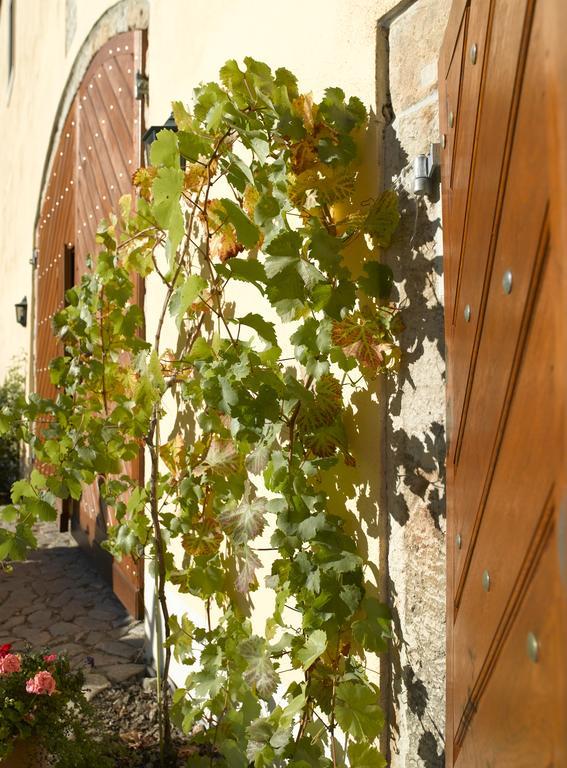 Hotel Gastehaus Im Weingut Schloss Proschwitz Meißen Zewnętrze zdjęcie